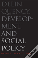 Delinquency, Development, And Social Policy