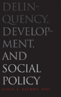 Delinquency, Development, And Social Policy - Preview