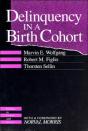 Delinquency In A Birth Cohort - Preview
