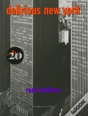 Capa do artigo Delirious New York