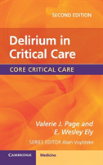 Delirium In Critical Care