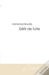 Délit De Fuite