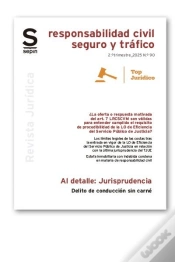 Capa do artigo Delito De Conduccion Sin Carnet