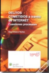 Delitos Cometidos A Traves De Internet 