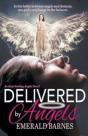 Delivered By Angels - Preview