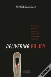Capa do artigo Delivering Policy