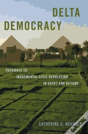Capa do artigo Delta Democracy
