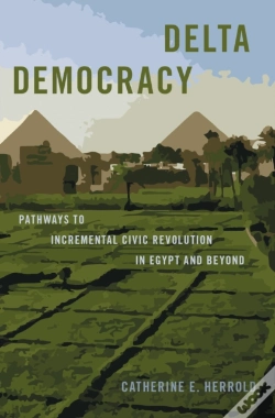 Capa do artigo Delta Democracy