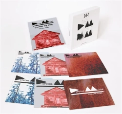 Capa do artigo Delta Machine - Vinil