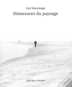 Capa do artigo Démesures Du Paysage