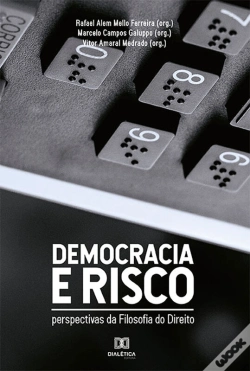Capa do artigo Democracia E Risco
