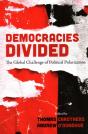Democracies Divided - Preview