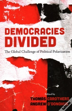 Capa do artigo Democracies Divided