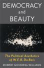 Democracy And Beauty - Preview