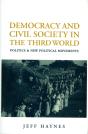 Democracy And Civil Society In The Third World - Preview