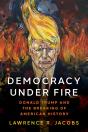 Democracy Under Fire - Preview