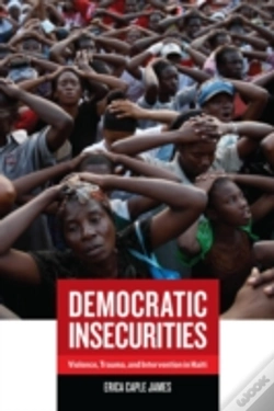 Capa do artigo Democratic Insecurities