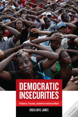 Capa do artigo Democratic Insecurities