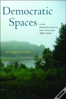 Capa do artigo Democratic Spaces