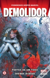 Demolidor - Partes de um Todo