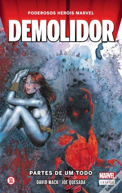 Capa do artigo Demolidor - Partes de um Todo