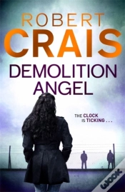 Capa do artigo Demolition Angel