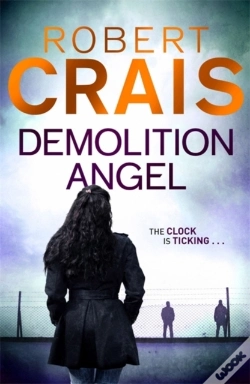 Capa do artigo Demolition Angel