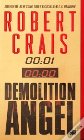 Capa do artigo Demolition Angel