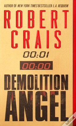 Capa do artigo Demolition Angel