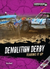 Capa do artigo Demolition Derby