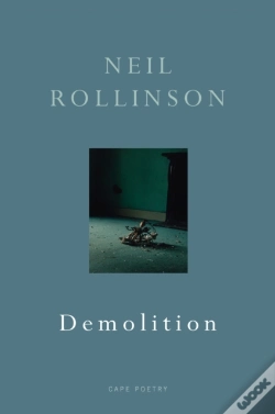 Capa do artigo Demolition