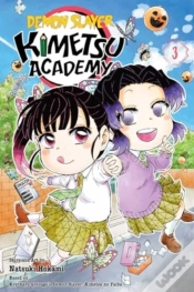 Capa do artigo Demon Slayer: Kimetsu Academy, Vol. 3