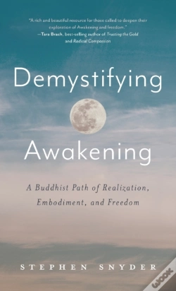 Capa do artigo Demystifying Awakening