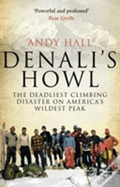 Capa do artigo Denali