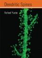 Dendritic Spines - Preview
