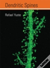 Capa do artigo Dendritic Spines