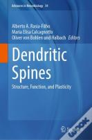 Dendritic Spines