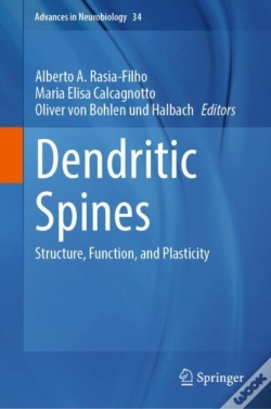 Capa do artigo Dendritic Spines