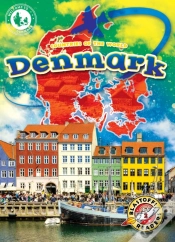 Capa do artigo Denmark