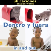 Capa do artigo Dentro Y Fuera