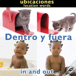 Capa do artigo Dentro Y Fuera