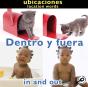 Dentro Y Fuera - Preview