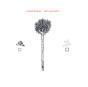 Dents and Shells - Vinil - Preview