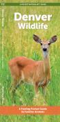 Denver Wildlife - Preview