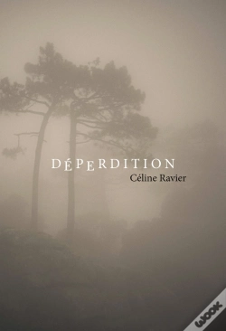 Capa do artigo Déperdition