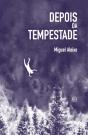 Depois da Tempestade - Preview