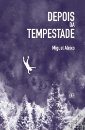Capa do artigo Depois da Tempestade