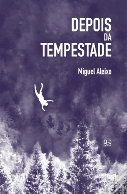 Capa do artigo Depois da Tempestade