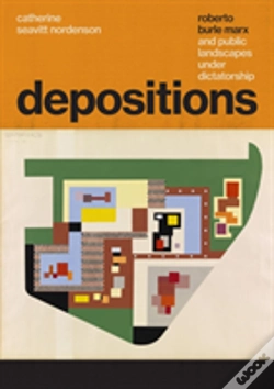 Capa do artigo Depositions