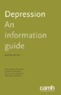 Depression: An Information Guide - Preview